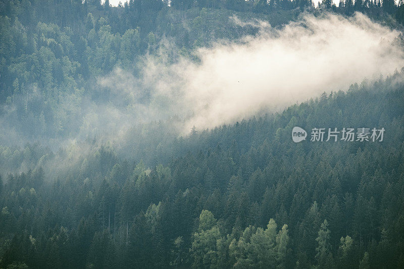 春天在Zgornje Jezersko山谷森林上空的云层